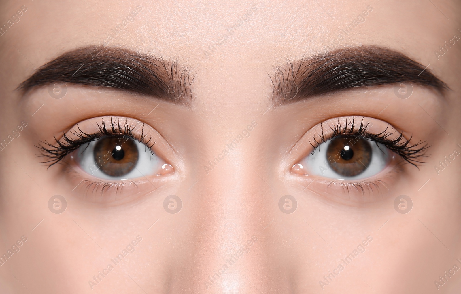 Image of Beautiful woman with perfect eyebrows, closeup view