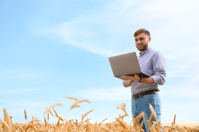 Photo of Young agronomist with laptop in grain field. Cereal farming