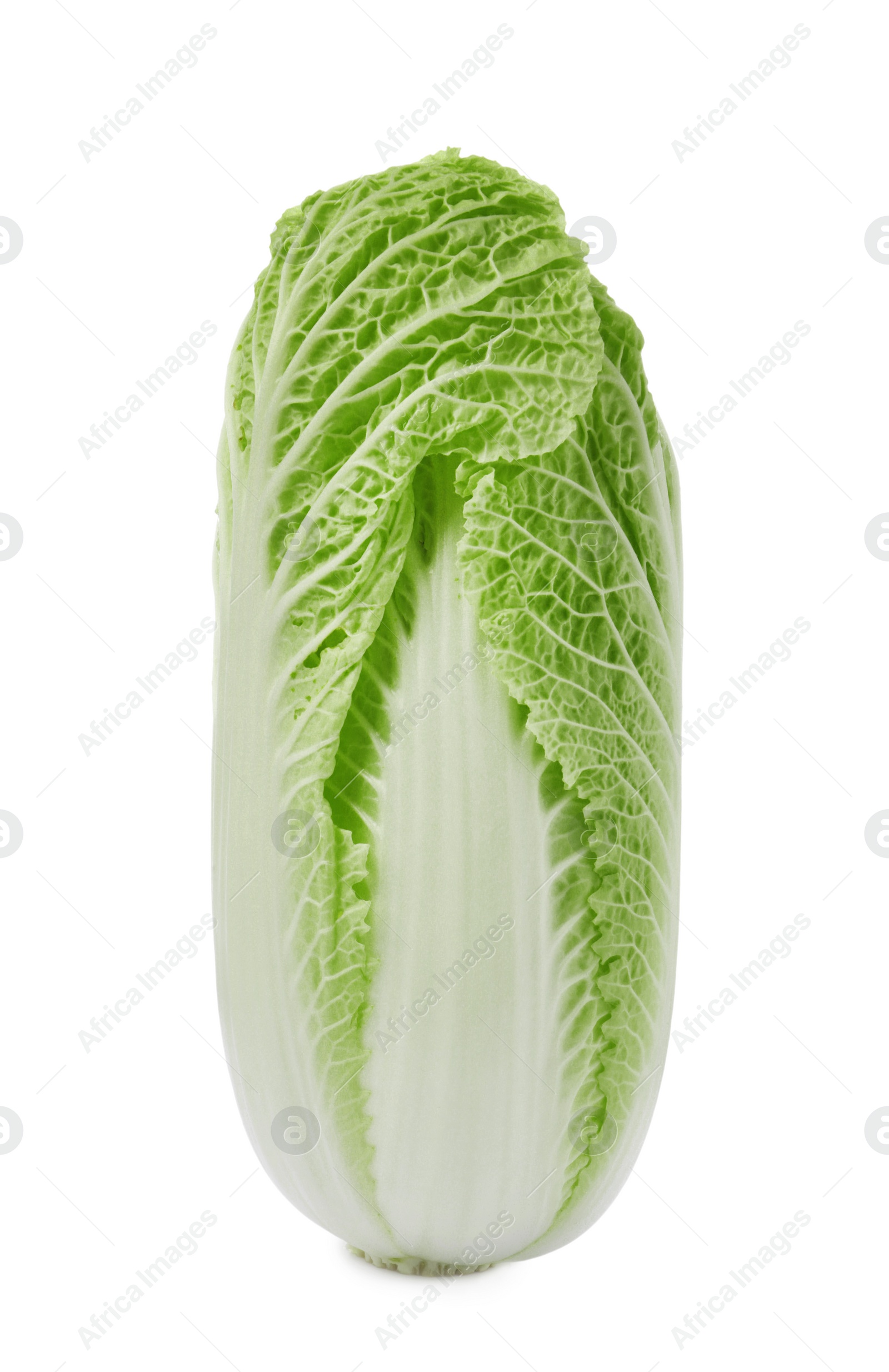 Photo of Fresh ripe Chinese cabbage on white background