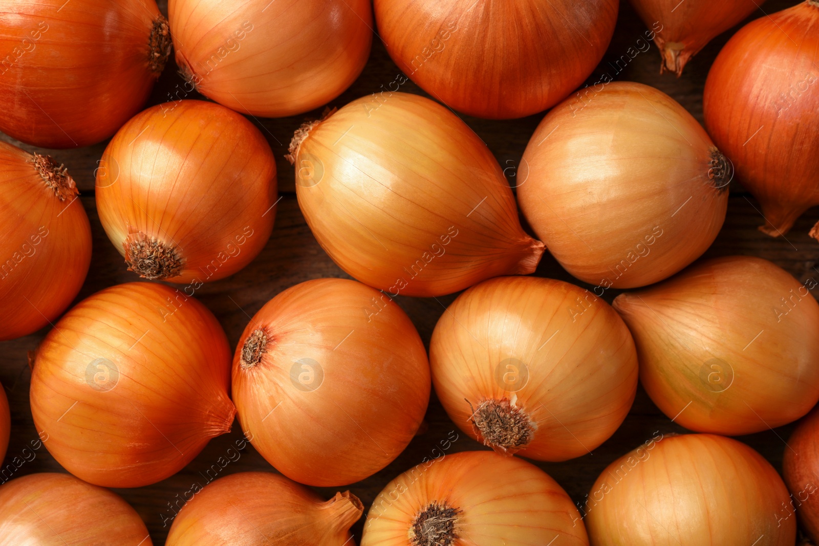 Photo of Many ripe onions as background, top view