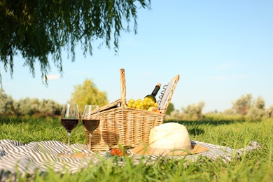 Red wine and different products for summer picnic served on blanket outdoors