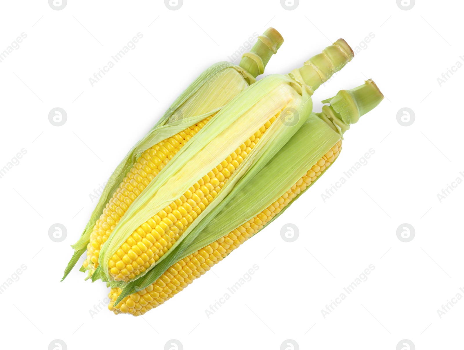 Photo of Tasty fresh corn cobs isolated on white, top view