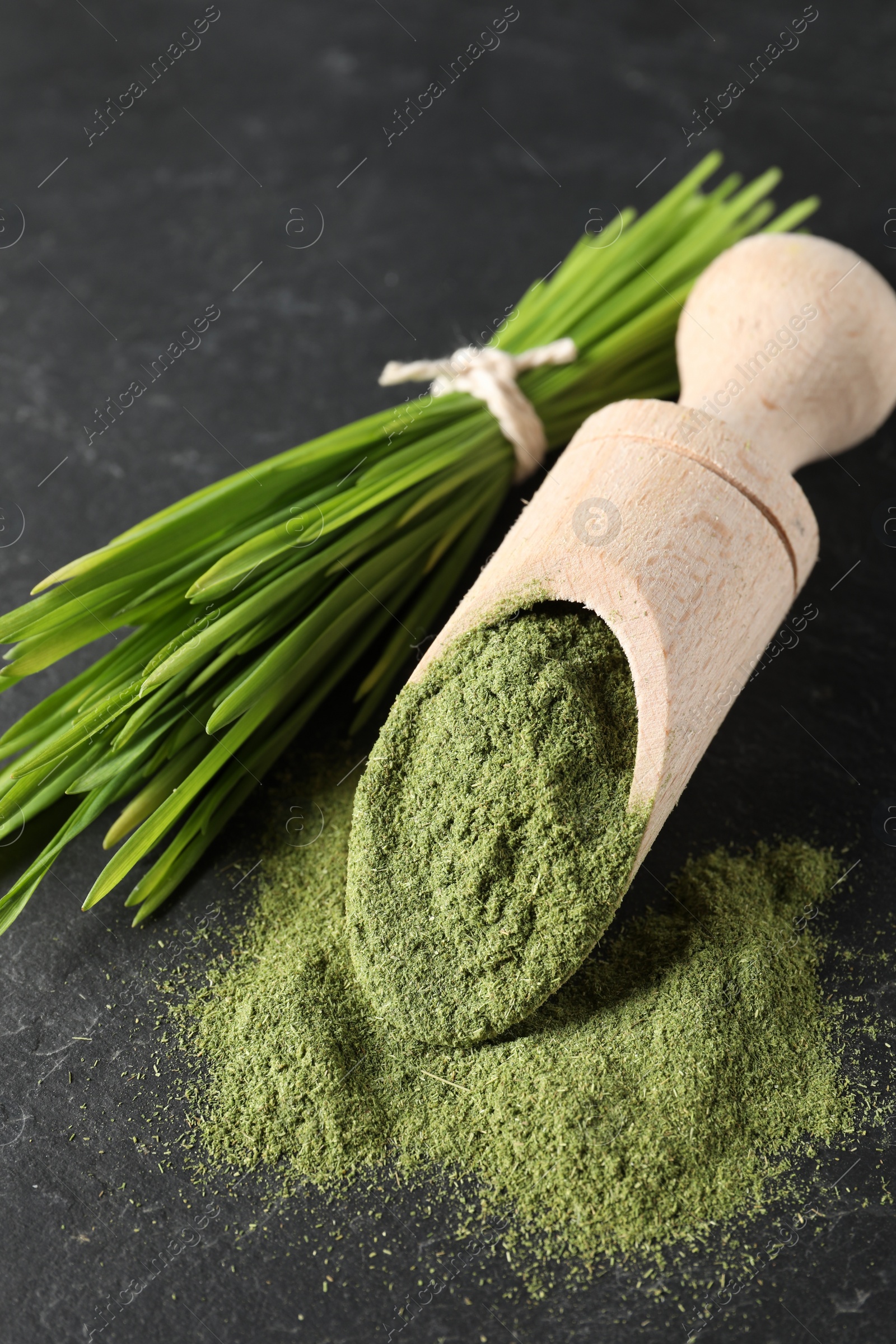 Photo of Wheat grass powder in scoop and fresh sprouts on grey textured table, closeup