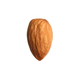 Photo of Organic almond nut isolated on white. Healthy snack