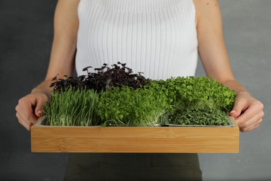 Photo of Woman with wooden crate of different fresh microgreens on grey background, closeup