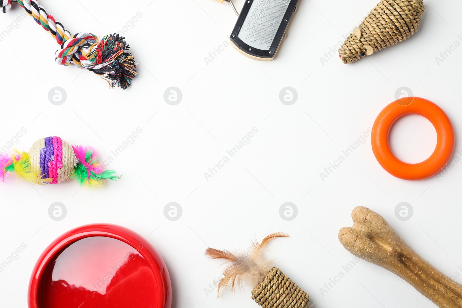 Photo of Flat lay composition with accessories for cat and dog on white background. Pet care