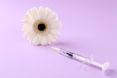 Photo of Cosmetology. Medical syringe and gerbera flower on violet background