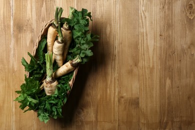 Photo of Tasty fresh ripe parsnips in wicker basket on wooden table, top view. Space for text