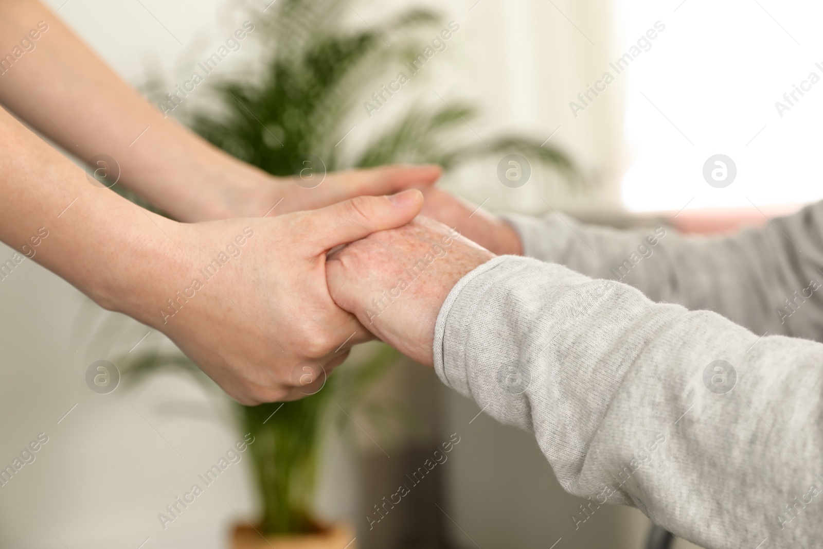 Photo of Nurse holding elderly man's hands indoors, closeup. Assisting senior people