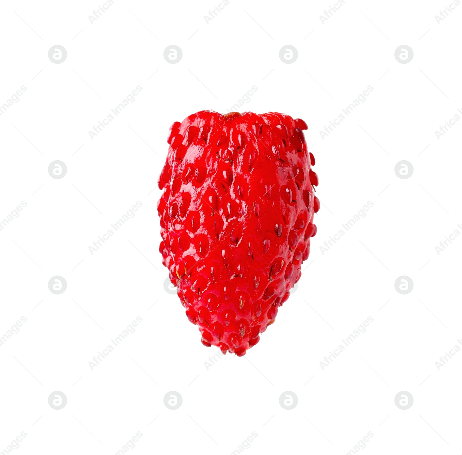 Photo of One ripe wild strawberry isolated on white