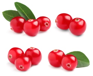 Image of Set of fresh ripe cranberries on white background, closeup view