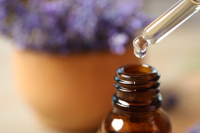 Dripping lavender essential oil into bottle, closeup. Space for text