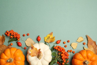 Photo of Different ripe pumpkins, autumn leaves and berries on green background, flat lay. Space for text