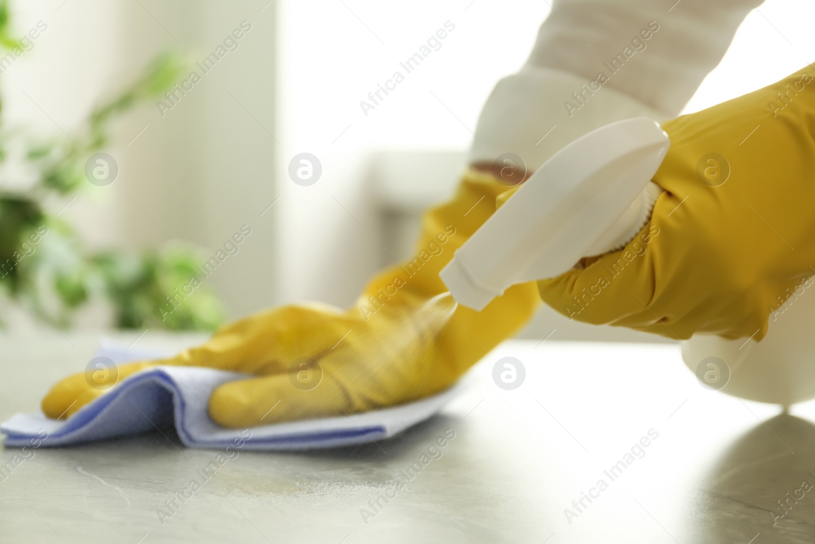 Photo of Woman in gloves cleaning grey table with spray detergent and rag indoors, closeup