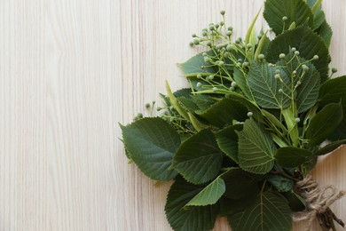 Bunch of beautiful linden plant on white wooden table, top view. Space for text