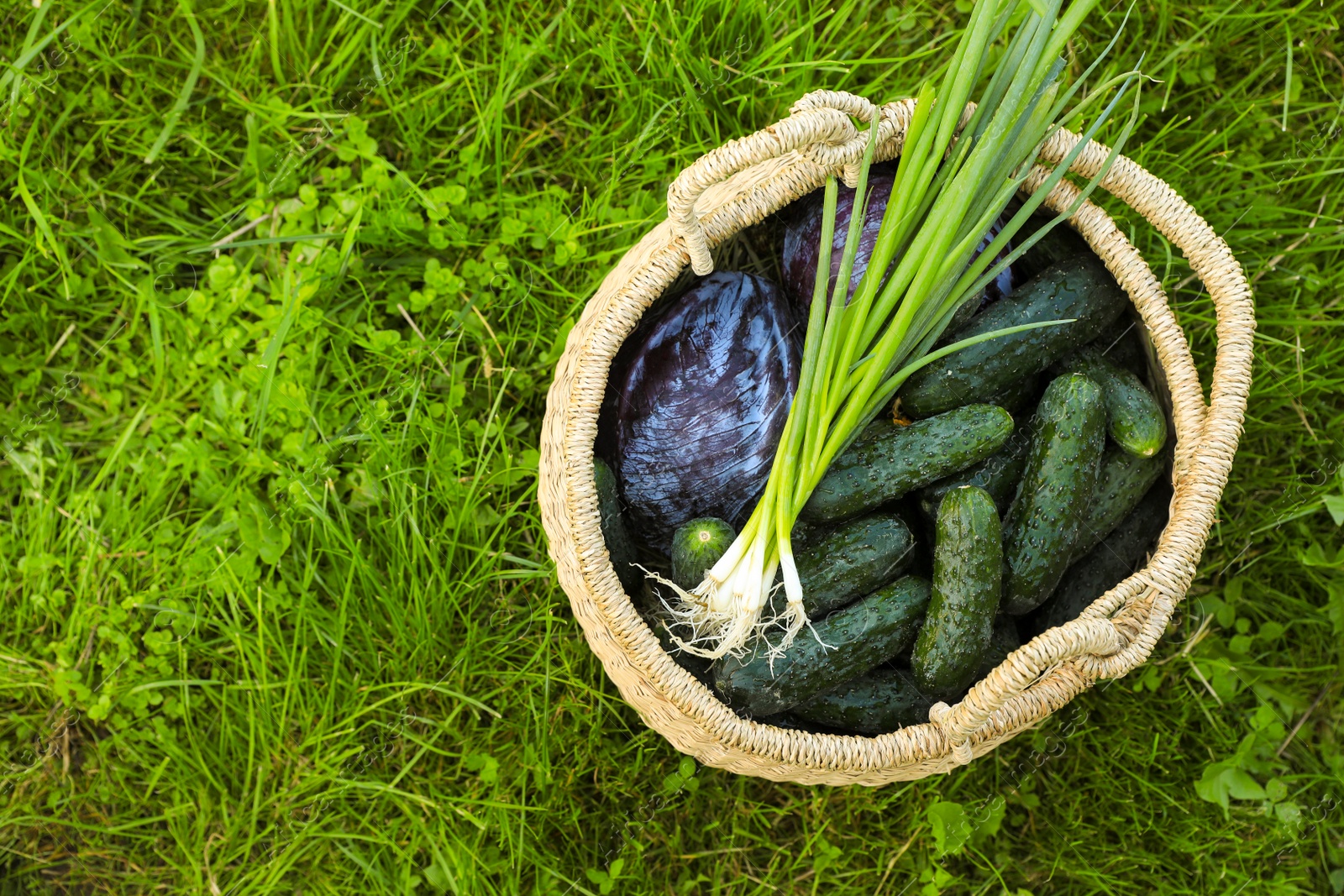 Photo of Tasty vegetables in wicker basket on green grass, top view. Space for text