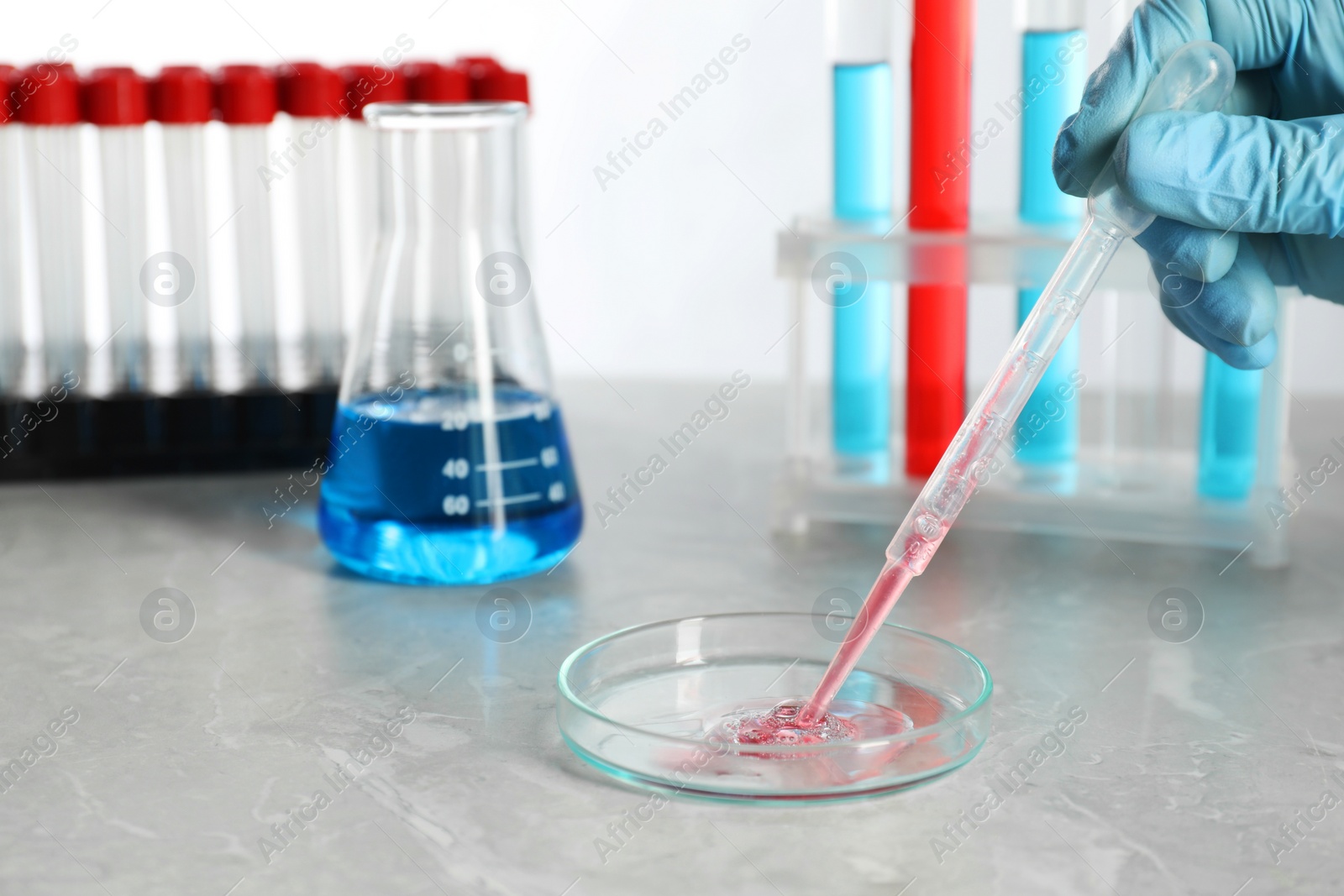 Photo of Scientist dripping liquid from pipette into petri dish at grey marble table, closeup