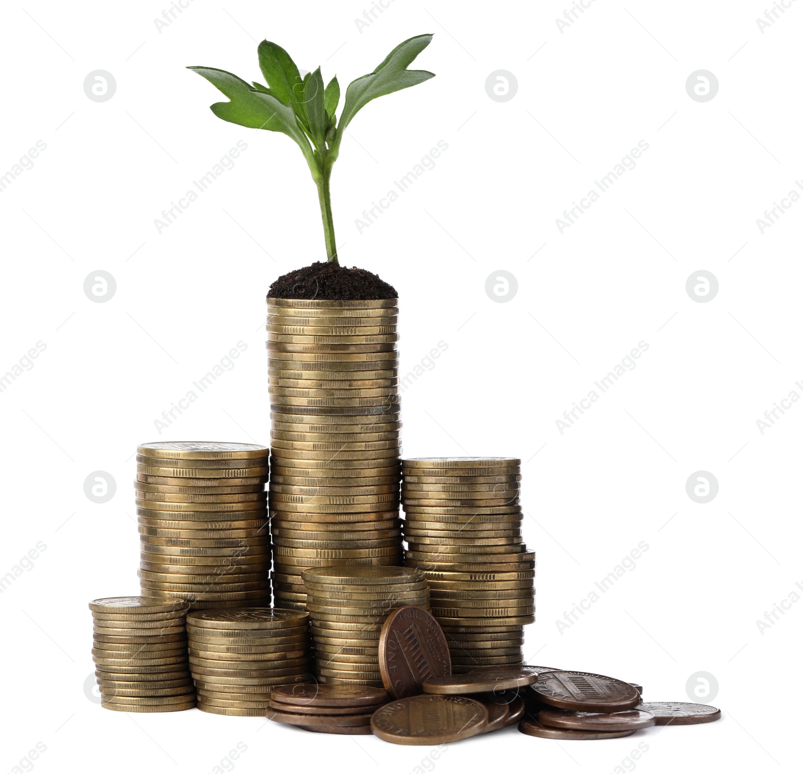 Photo of Stacks of coins with green sprout isolated on white. Investment concept