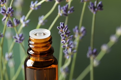 Bottle with essential oil near lavender on green background, closeup. Space for text