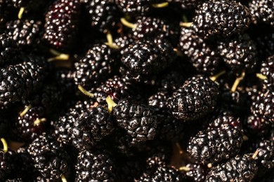 Heap of delicious ripe black mulberries as background, closeup