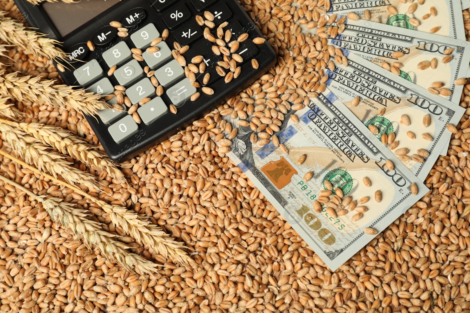 Photo of Dollar banknotes, calculator and wheat ears on grains, top view. Agricultural business