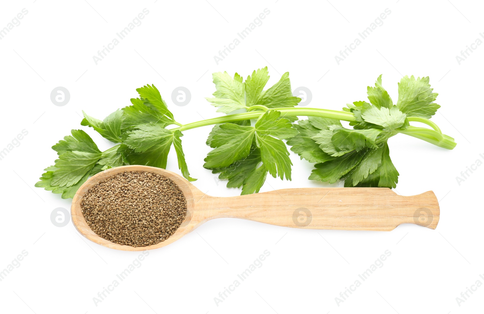 Photo of Spoon of celery seeds and fresh plant isolated on white, top view