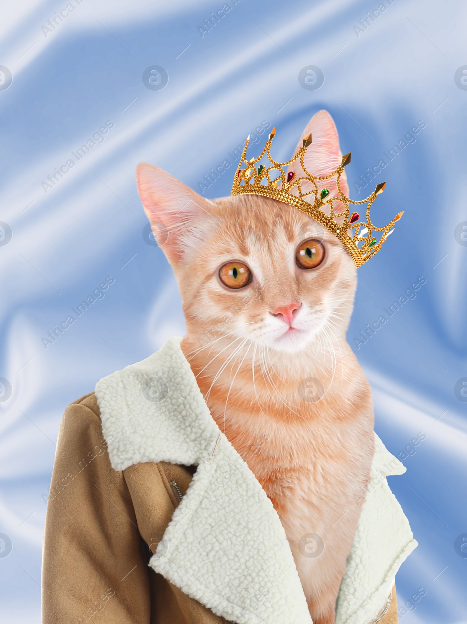 Image of Cute cat dressed like royal person against light blue background