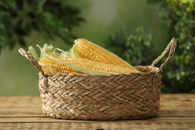 Photo of Ripe raw corn cobs in wicker basket on wooden table against blurred background