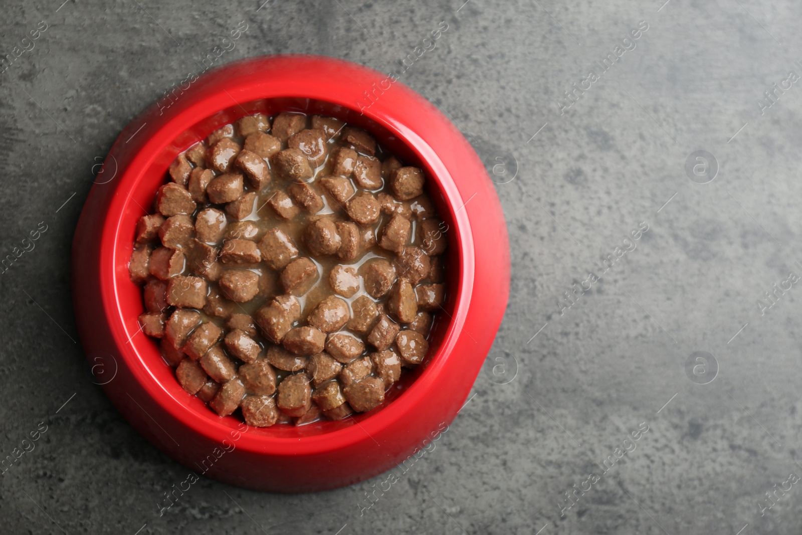 Photo of Wet pet food in feeding bowl on grey stone background, top view. Space for text