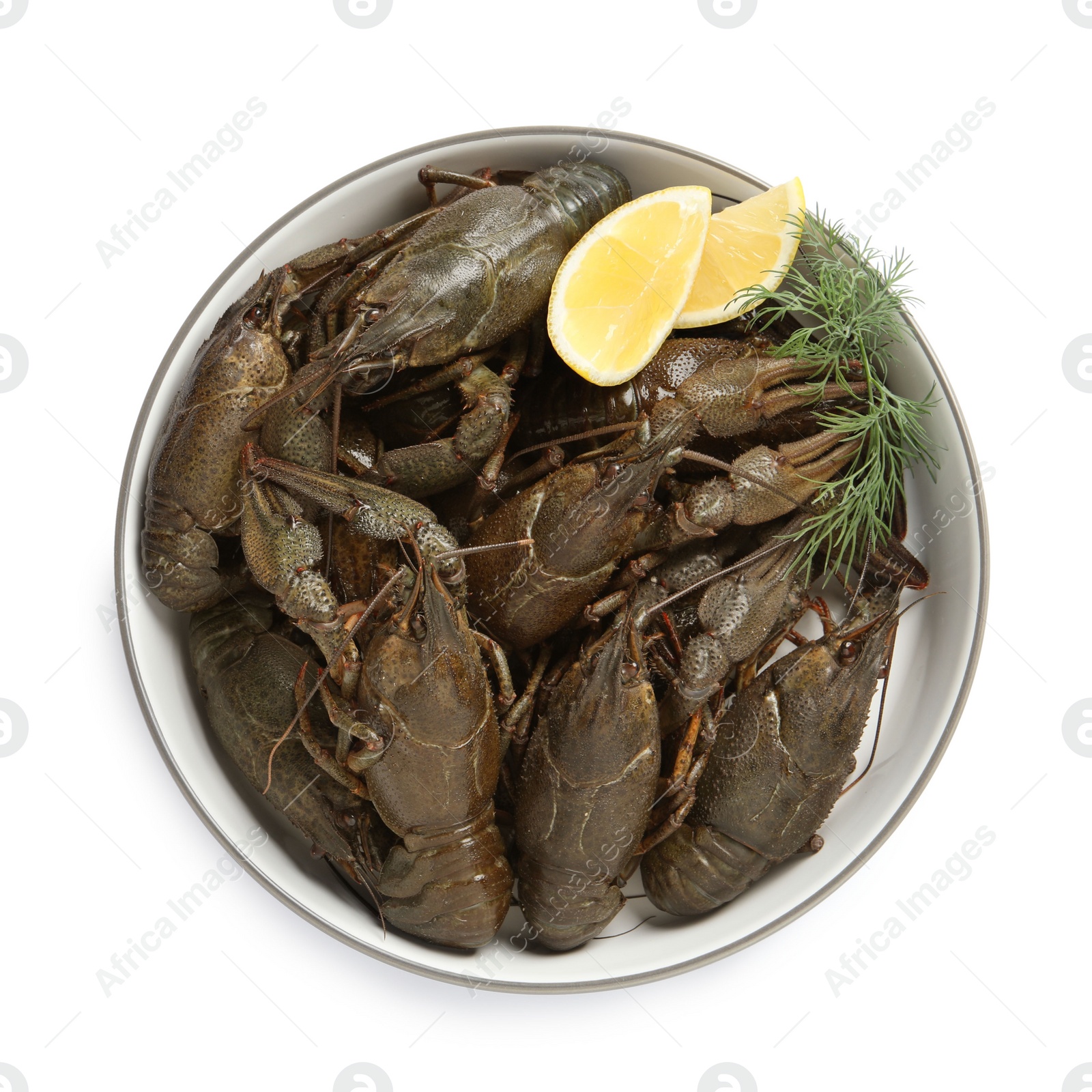 Photo of Fresh raw crayfishes with lemon and dill in bowl on white background, top view
