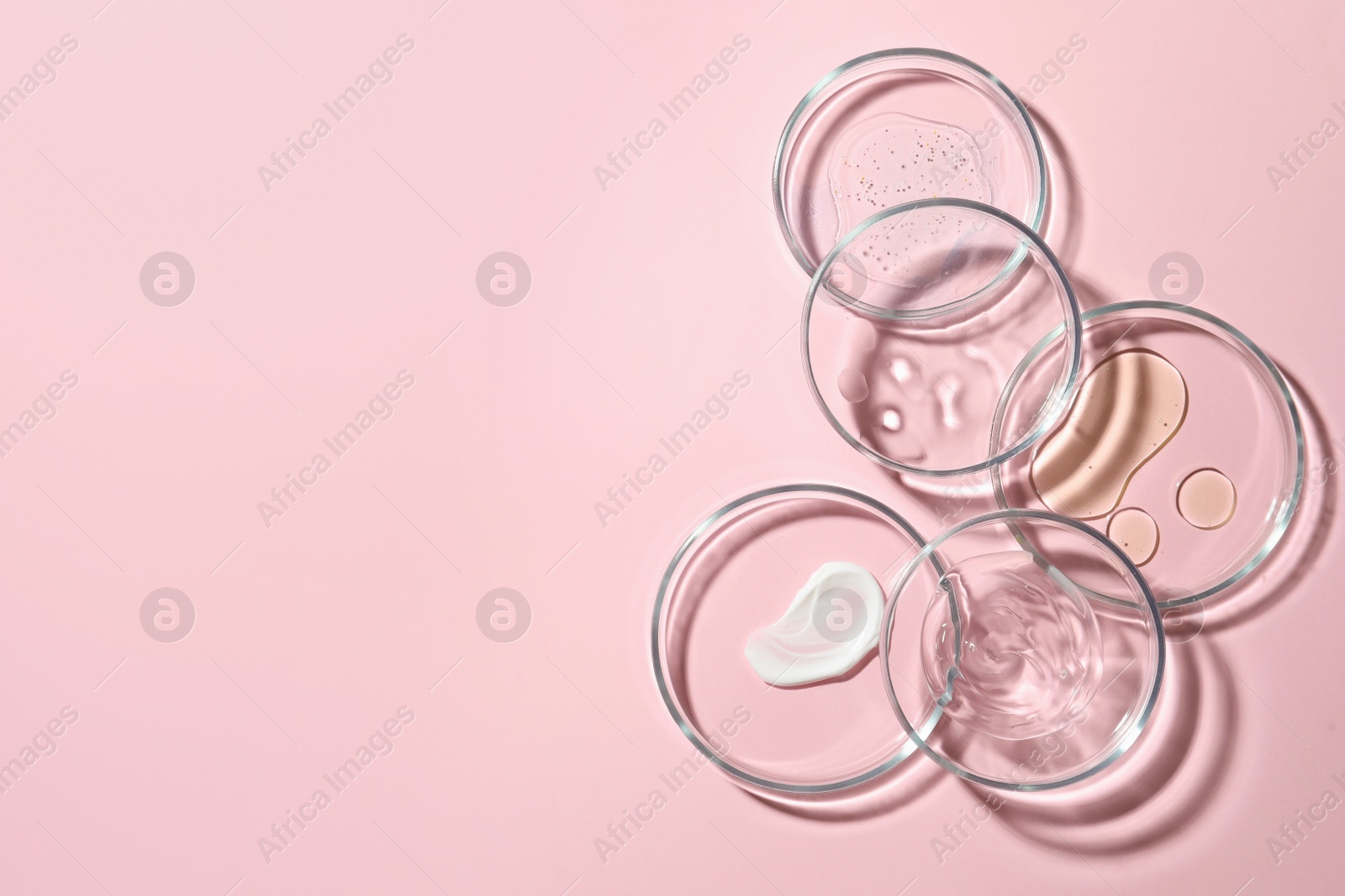Photo of Many Petri dishes with cosmetic samples on pink background, flat lay. Space for text