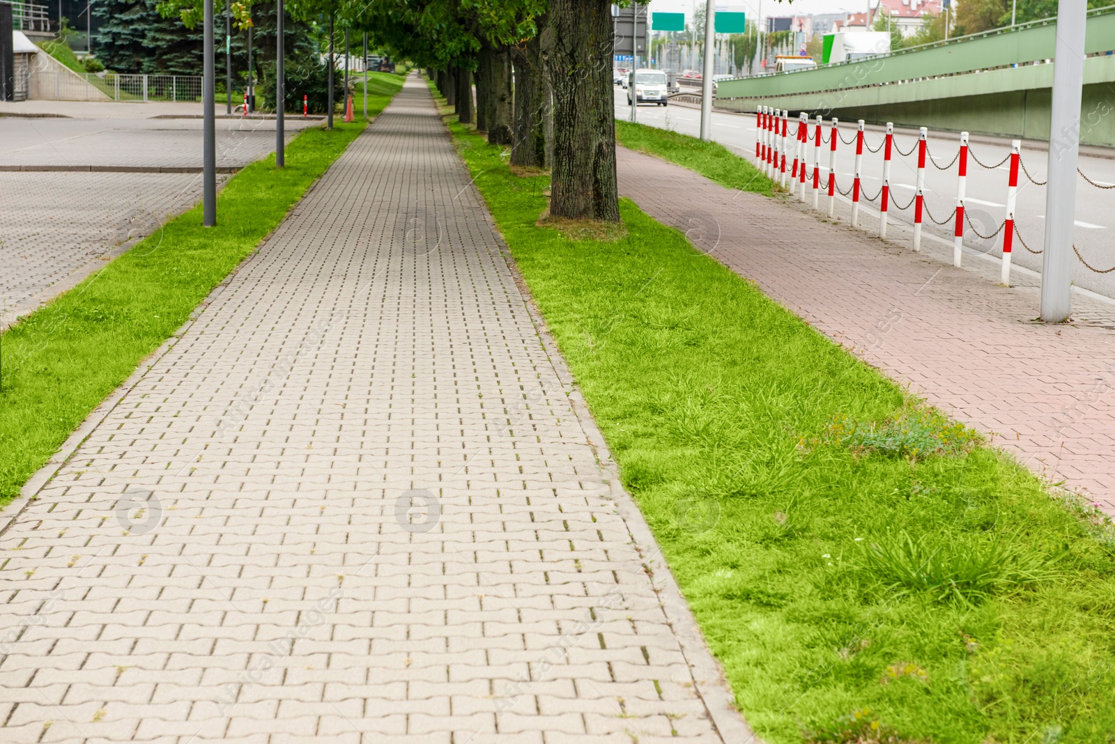 Photo of View of sidewalk path and fresh green grass on sunny day. Footpath covering