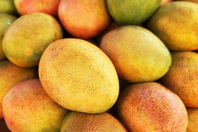 Pile of delicious ripe yellow mangoes, closeup