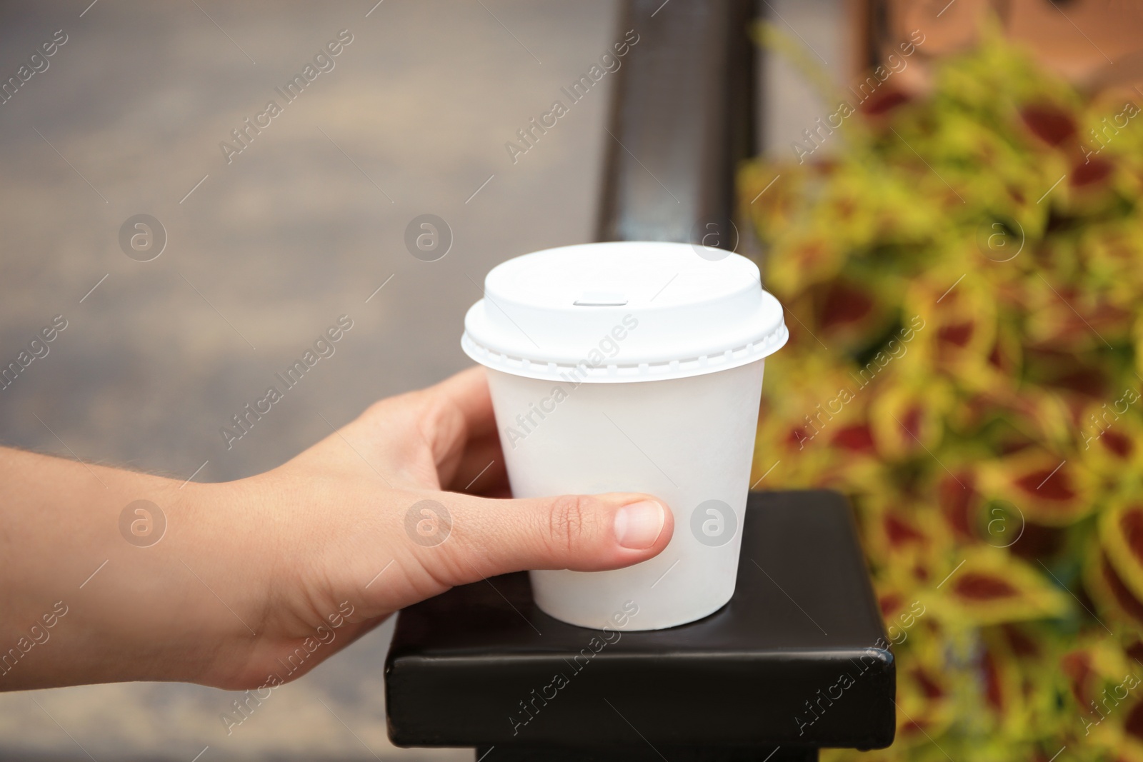 Photo of Woman with cardboard cup of coffee near flower bed outdoors, closeup