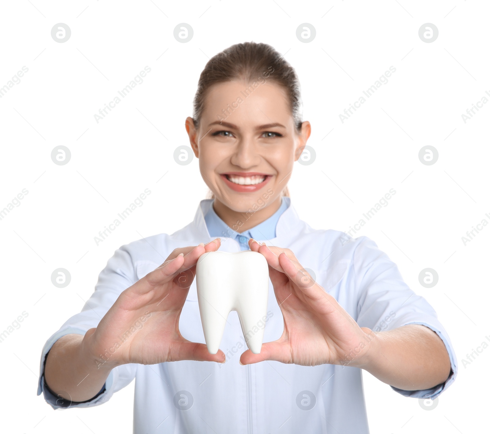 Photo of Female dentist holding tooth model on white background