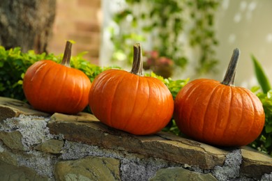 Photo of Many whole ripe pumpkins on stone curb outdoors