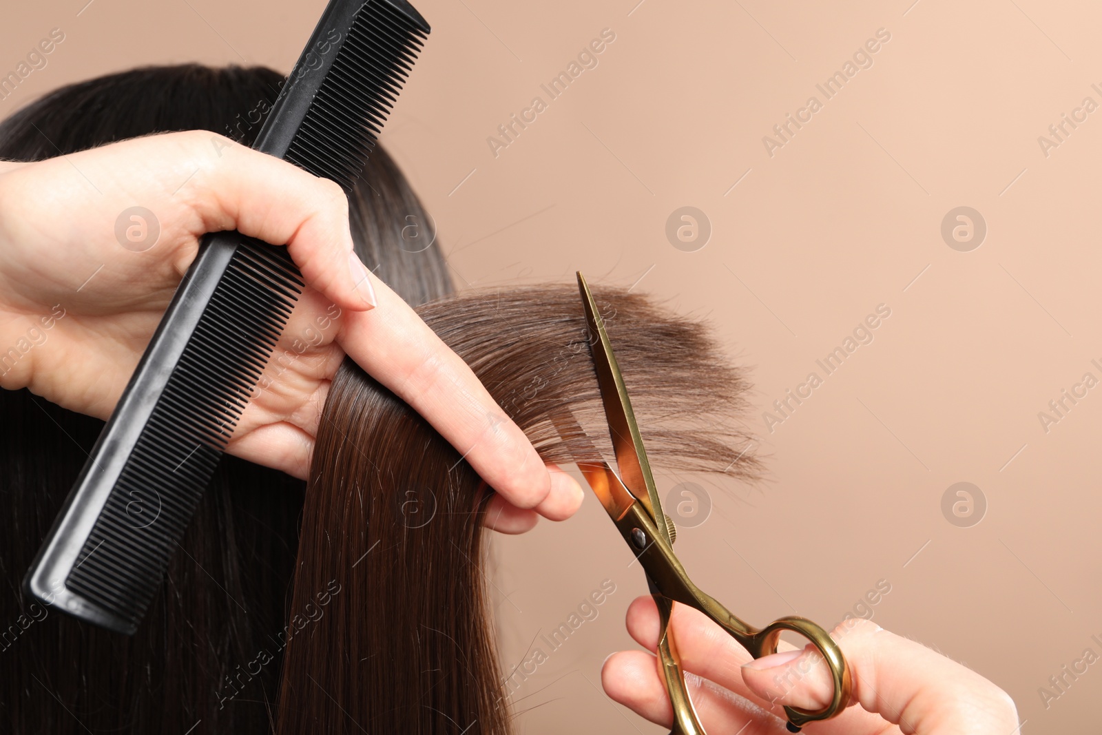 Photo of Hairdresser cutting client's hair with scissors on beige background, closeup. Space for text