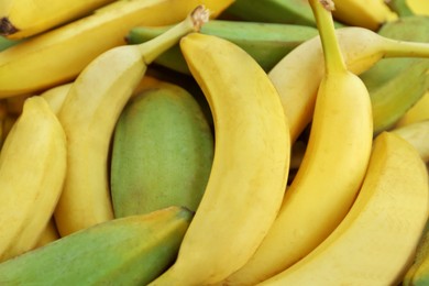 Different sorts of bananas as background, closeup