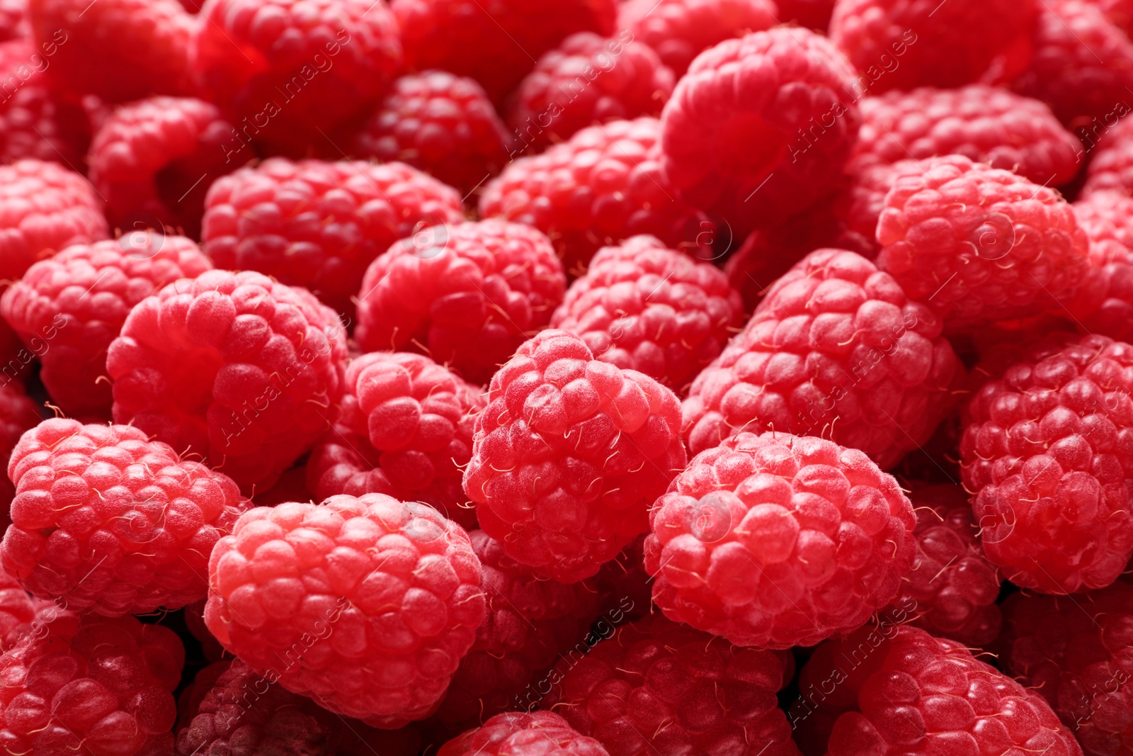 Photo of Fresh sweet ripe raspberries as background, closeup