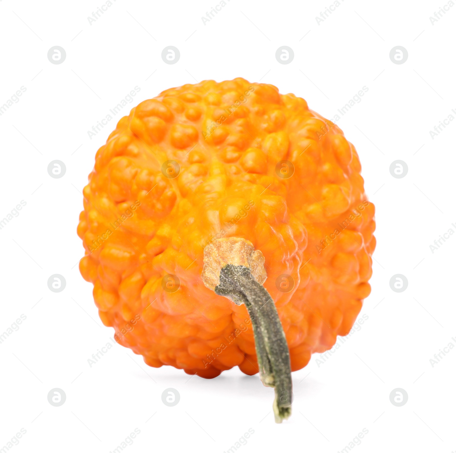Photo of One fresh orange pumpkin isolated on white