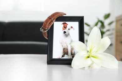 Photo of Frame with picture of dog, collar and lily flower on white table indoors, closeup. Pet funeral