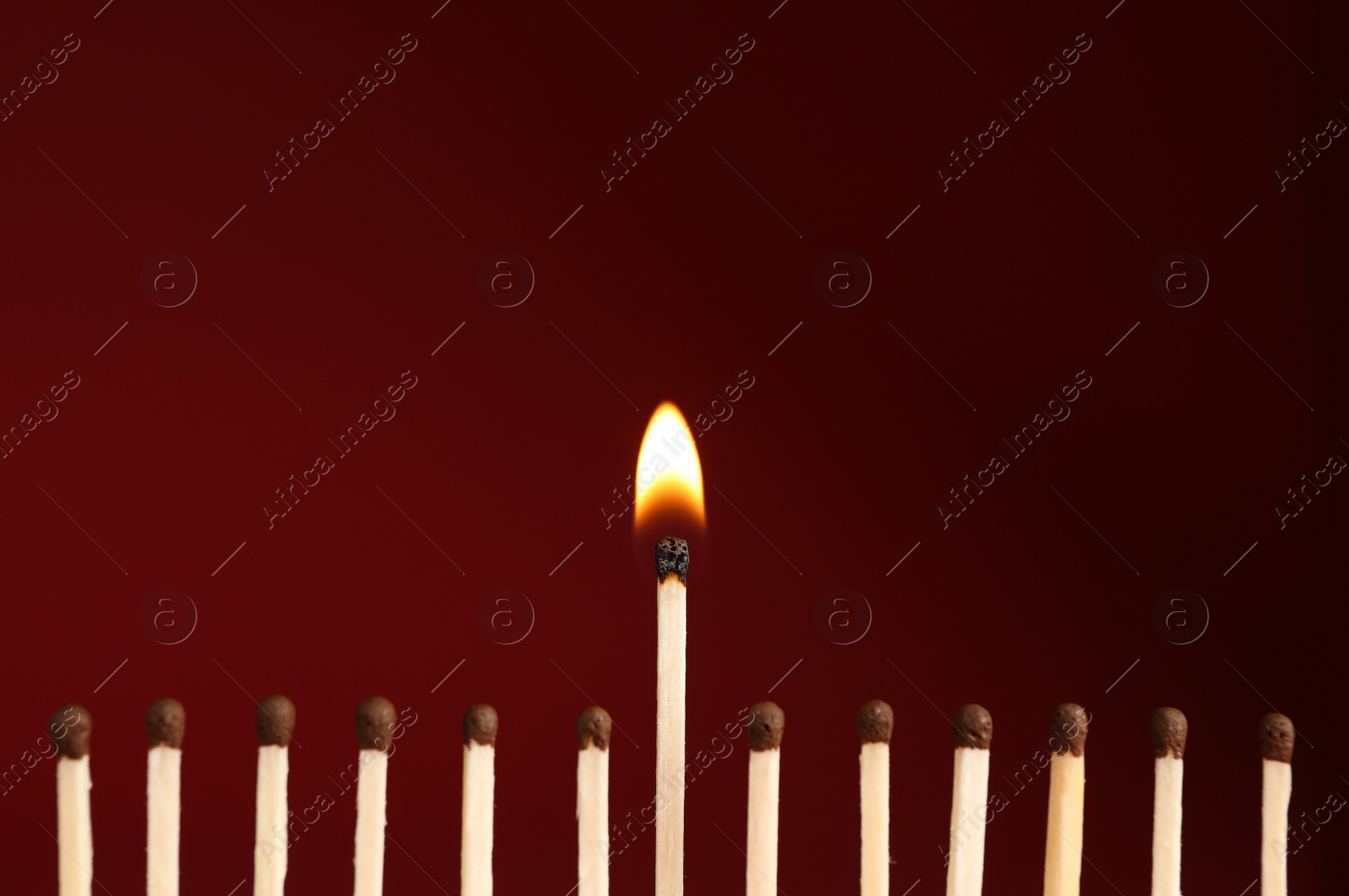 Photo of Burning match among unlit ones on red background, closeup