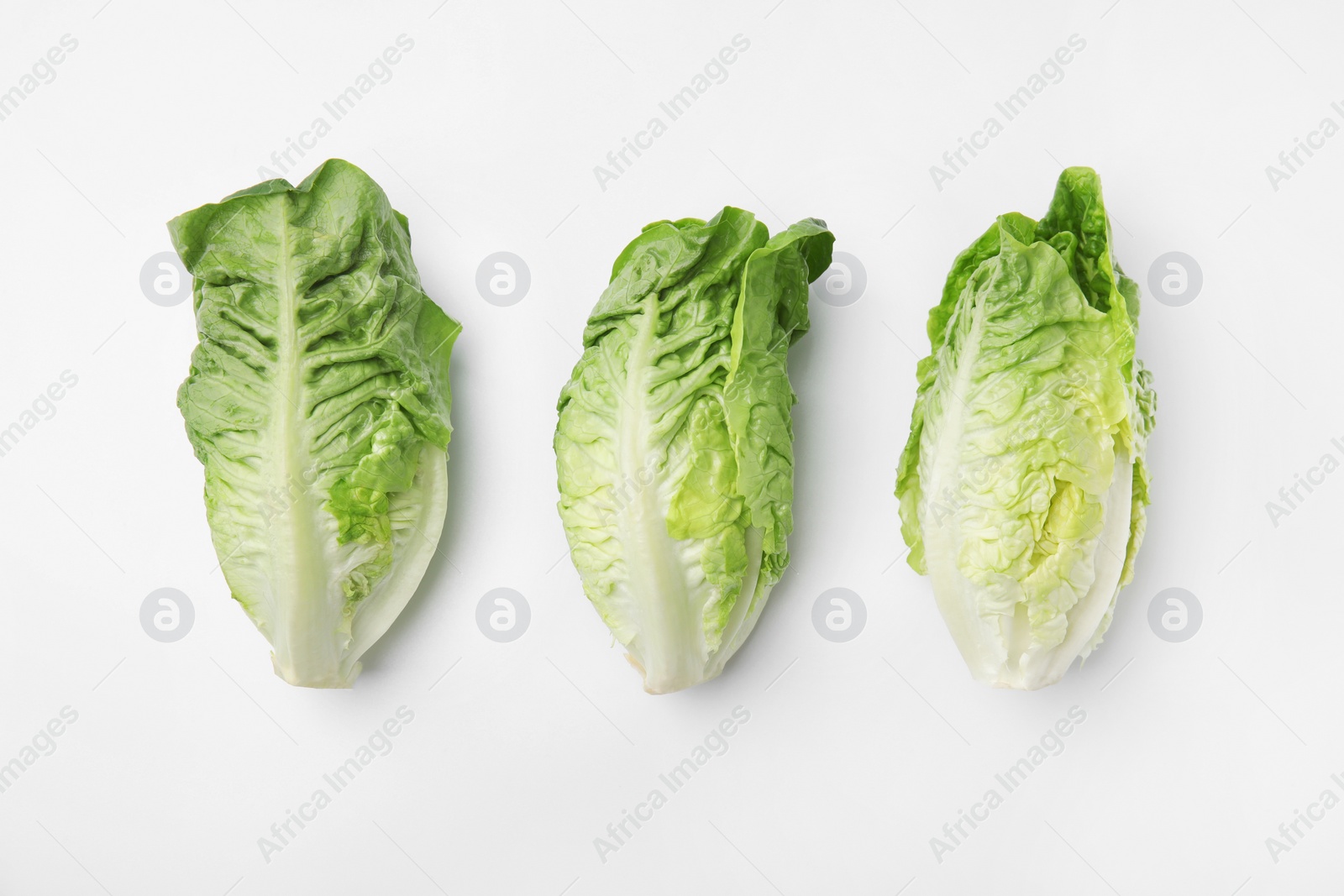 Photo of Fresh green romaine lettuces isolated on white, top view