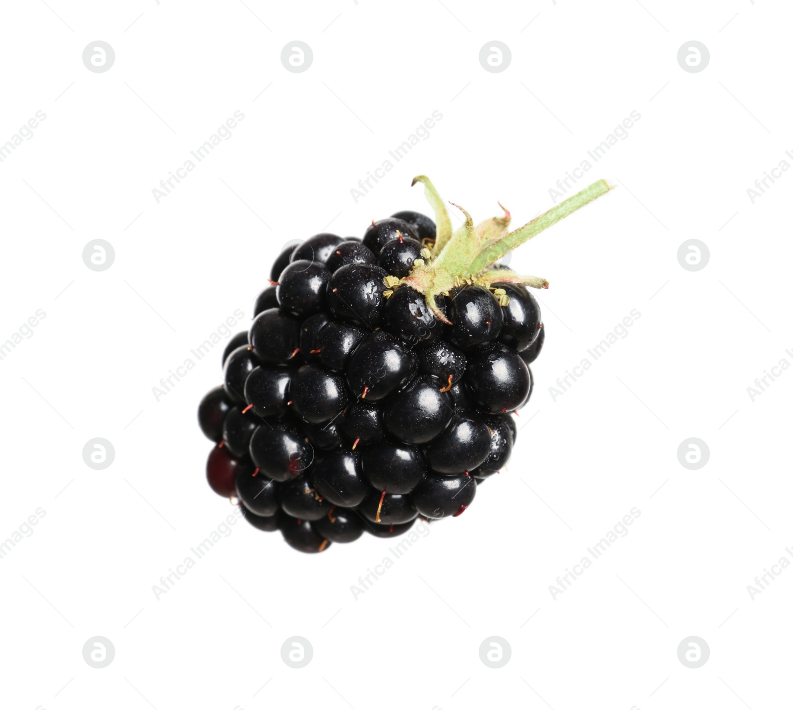 Photo of One tasty ripe blackberry isolated on white