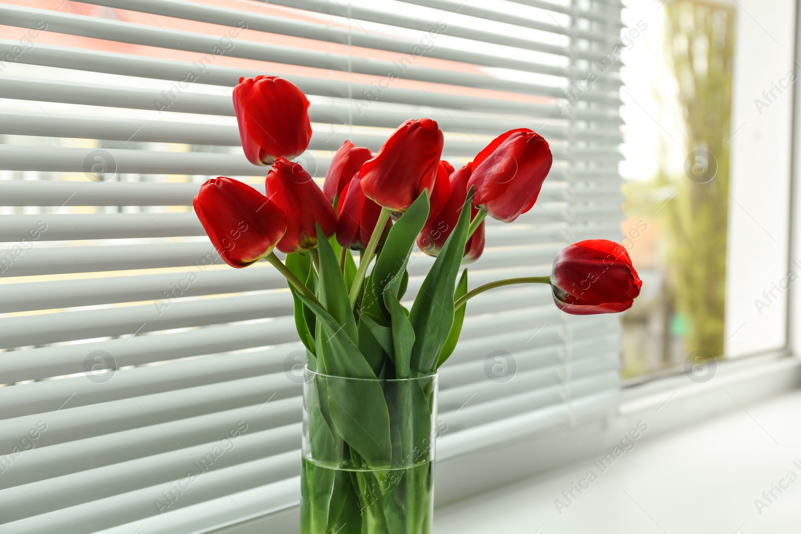 Photo of Bouquet of beautiful tulips in vase near window with blinds