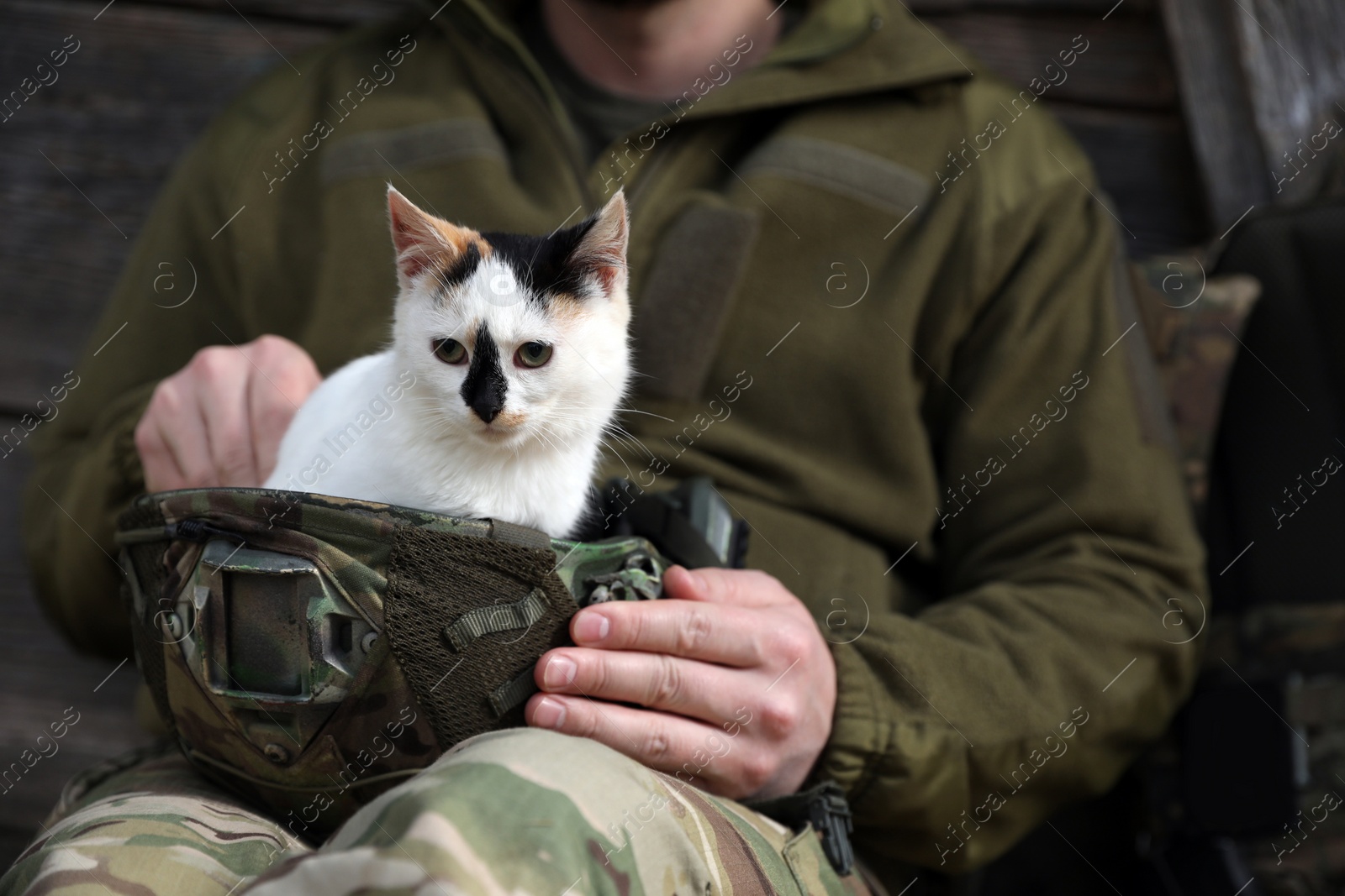 Photo of Soldier rescuing animal. Little stray cat sitting in helmet indoors, closeup