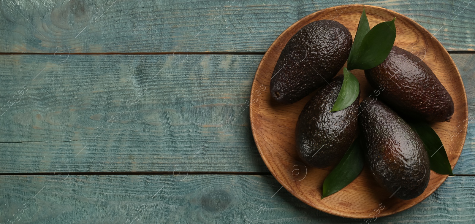 Photo of Whole ripe avocadoes and leaves on light blue wooden table, top view. Space for text