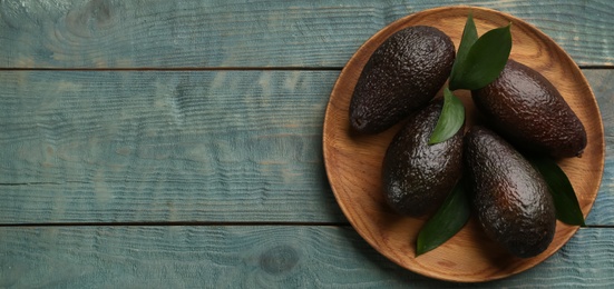 Photo of Whole ripe avocadoes and leaves on light blue wooden table, top view. Space for text