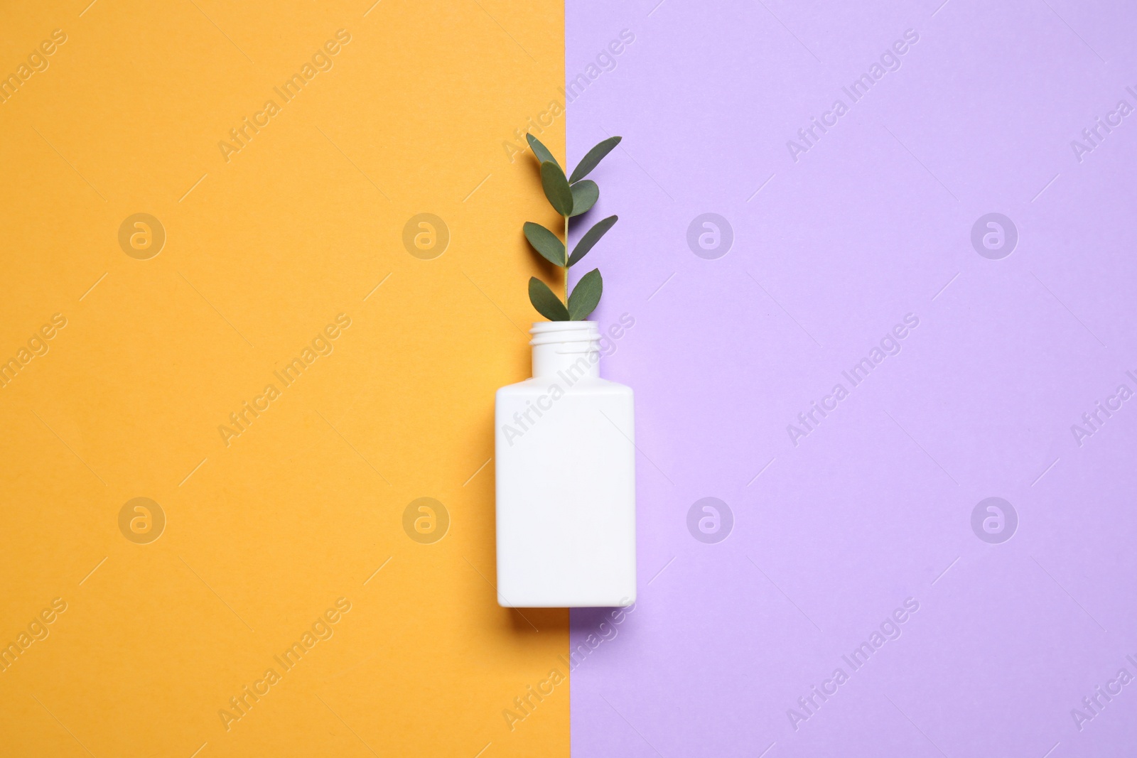 Photo of Bottle with twig on color background, top view