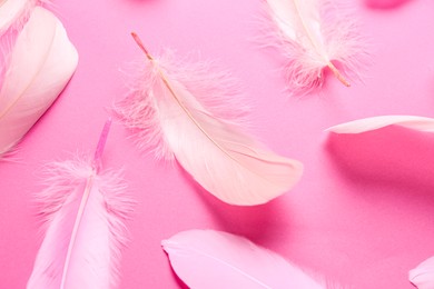 Photo of Bright beautiful feathers on pink background, flat lay